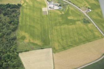 Oblique aerial view of the cropmarks of the ring ditch, looking SSE.