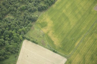 Oblique aerial view of the cropmarks of the ring ditch, looking ESE.