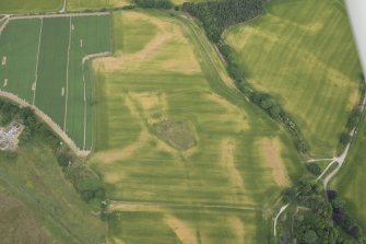 Oblique aerial view of the cropmarks of the barrow cemetery, enclosure, track and pits at Tarradale House, looking NNW.