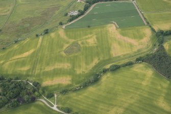 Oblique aerial view of the cropmarks of the barrow cemetery, enclosure, track and pits at Tarradale House, looking WSW.