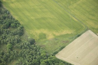 Oblique aerial view of the cropmarks of the ring ditch, looking S.