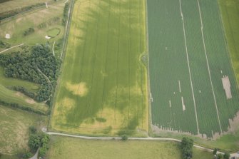 Oblique aerial view of the cropmarks of the enclosure, possible sunken floored building and pits, looking SE.