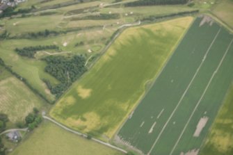 Oblique aerial view of the cropmarks of the enclosure, possible sunken floored buildings and pits, looking ESE.