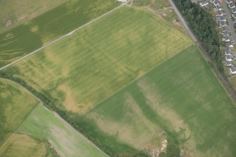 Oblique aerial view of the cropmarks of the rig and furrow and pits, looking ENE.