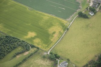 Oblique aerial view of the cropmarks of the enclosure, possible sunken floored building and pits, looking S.