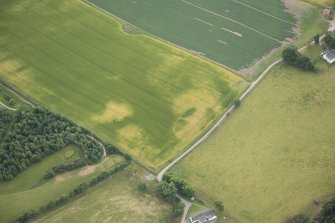 Oblique aerial view of the cropmarks of the enclosure, possible sunken floored building and pits, looking SSE.