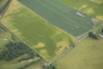 Oblique aerial view of the cropmarks of the enclosure, possible sunken floored buildings and pits, looking SSE.