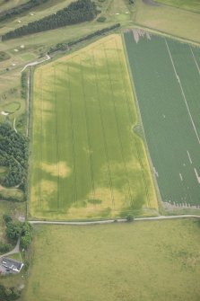 Oblique aerial view of the cropmarks of the enclosure, possible sunken floored buildings and pits, looking ESE.