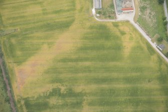 Oblique aerial view of the cropmarks of the possible unenclosed settlement, looking NE.