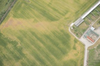 Oblique aerial view of the cropmarks of the possible unenclosed settlement, looking NNE.