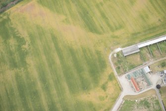 Oblique aerial view of the cropmarks of the possible unenclosed settlement, looking N.