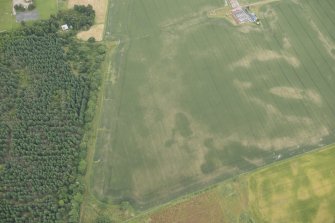 Oblique aerial view of the cropmarks of the possible round house, looking ENE.