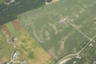 Oblique aerial view of the cropmarks of the possible round house, rig and pits at Drumore, looking N.