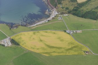 Oblique aerial view of the cropmarks of a field boundary near Pennan, looking NE.