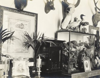 Interior view showing stuffed birds and ornaments, Balmacaan House.
Titled: 'Another view from the top of the stairs'. 
PHOTOGRAPH ALBUM No;32: BALMACAAN ALBUM.
