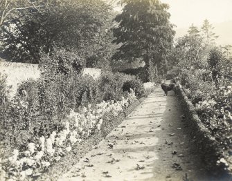 View of garden at Balmacaan House.
Titled: 'Kitchen Garden'
PHOTOGRAPH ALBUM No.32: BALMACAAN ALBUM.