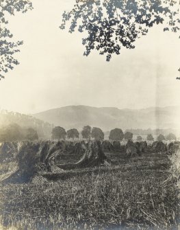 Landscape view
Titled 'The cornfields near the house'
PHOTOGRAPH ALBUM No.32: BALMACAAN ALBUM.

