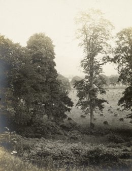 Landscape view
Titled ' View from the front door'
PHOTOGRAPH ALBUM No.32: BALMACAAN ALBUM.