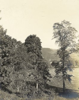 Landscape view 
Titled 'Taken from the front door'
PHOTOGRAPH ALBUM No.32: BALMACAAN ALBUM.