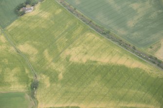 Oblique aerial view of the cropmarks of the palisaded enclosures and round house, looking E.