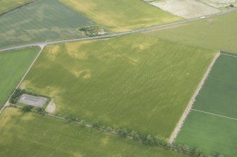 Oblique aerial view of the cropmarks of the settlement, ring ditch and pits, looking N.