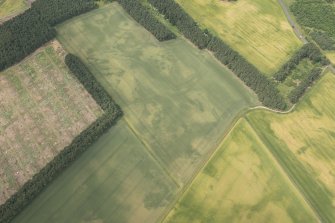 Oblique aerial view of the cropmarks of the enclosure, pits and possible round house, looking NW.