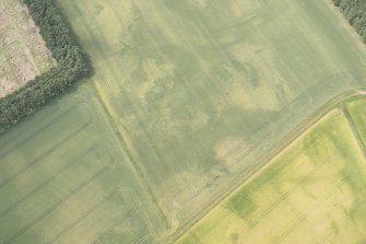 Oblique aerial view of the cropmarks of the enclosure, pits and possible round house, looking WNW.