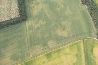 Oblique aerial view of the cropmarks of the enclosure, pits and possible round house, looking W.