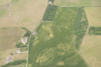 Oblique aerial view of the cropmarks of the ring ditch, possible building and pits, looking NE.