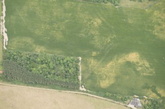 Oblique aerial view of the cropmarks of the ring ditch, possible building and pits, looking SE.