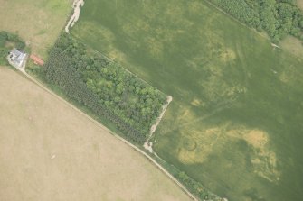 Oblique aerial view of the cropmarks of the ring ditch and possible building, looking ESE.