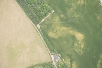 Oblique aerial view of the cropmarks of the ring ditch, possible building and pits, looking E.