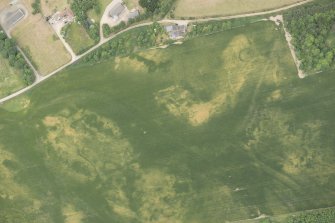 Oblique aerial view of the cropmarks of the ring ditch, possible building and pits, looking NNW.