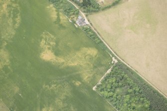 Oblique aerial view of the cropmarks of the ring ditch, possible building and pits, looking W.