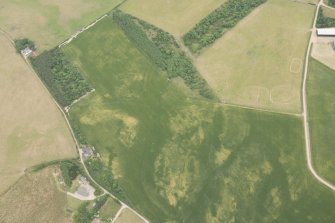 Oblique aerial view of the cropmarks of the ring ditch, possible building and pits, looking E.