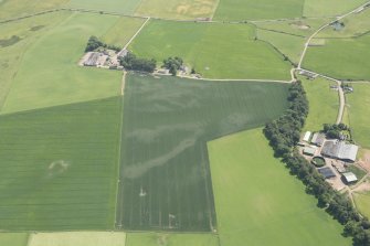 Oblique aerial view of the cropmarks of the rig, pits and souterrains with Cairndrum farmsteading adjacent, looking to the SSE.