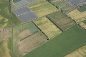 Oblique aerial view of the cropmarks at Craigmill, looking N.