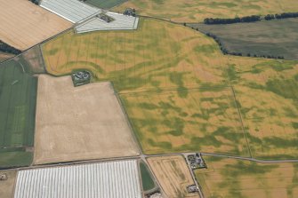 Oblique aerial view of the cropmarks of the palisaded settlements, round houses and pits at Ironshill, Inverkeilor, looking S.