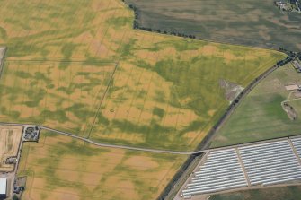 Oblique aerial view of the cropmarks of the palisaded settlements, round houses and pits at Ironshill, Inverkeilor,  looking SE.