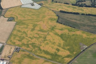 Oblique aerial view of the cropmarks of the palisaded settlements, round houses and pits at Ironshill, Inverkeilor,  looking SE.