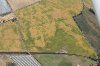 Oblique aerial view of the cropmarks of the palisaded settlements, round houses and pits at Ironshill, Inverkeilor,  looking E.