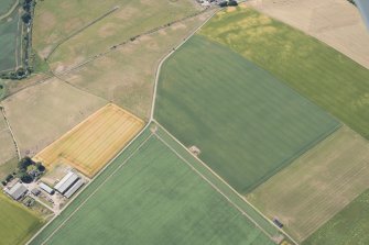 Oblique aerial view of the cropmarks of the possible ring-ditches, round houses and rig, looking S.