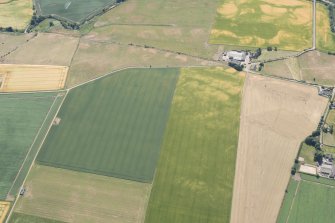 Oblique aerial view of the cropmarks of the possible ring-ditches, round houses and rig, looking SSE.