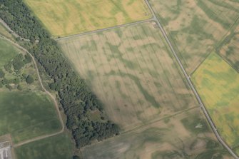 Oblique aerial view of the cropmarks of the unenclosed settlement at Chapelton, looking N.