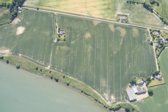 Oblique aerial view centred on the cropmark of the enclosure at Baldovie, looking SSE.