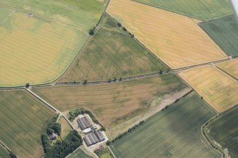 Oblique aerial view of cropmarks of the enclosures, settlement, barrows and rig, looking ESE.