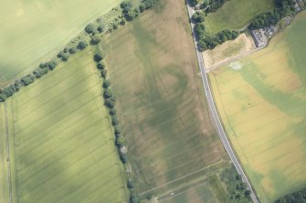 Oblique aerial view of the cropmarks of the unenclosed settlement, pits and rig, looking E.