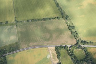 Oblique aerial view of the cropmarks of the unenclosed settlement, pits and rig, looking N.