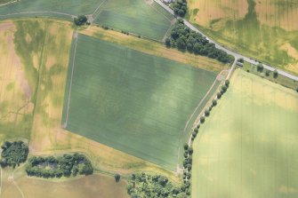 Oblique aerial view of the cropmarks at Langleypark, looking SE.