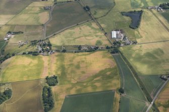 Oblique aerial view of the cropmarked fields at Pugeston, looking NE.
